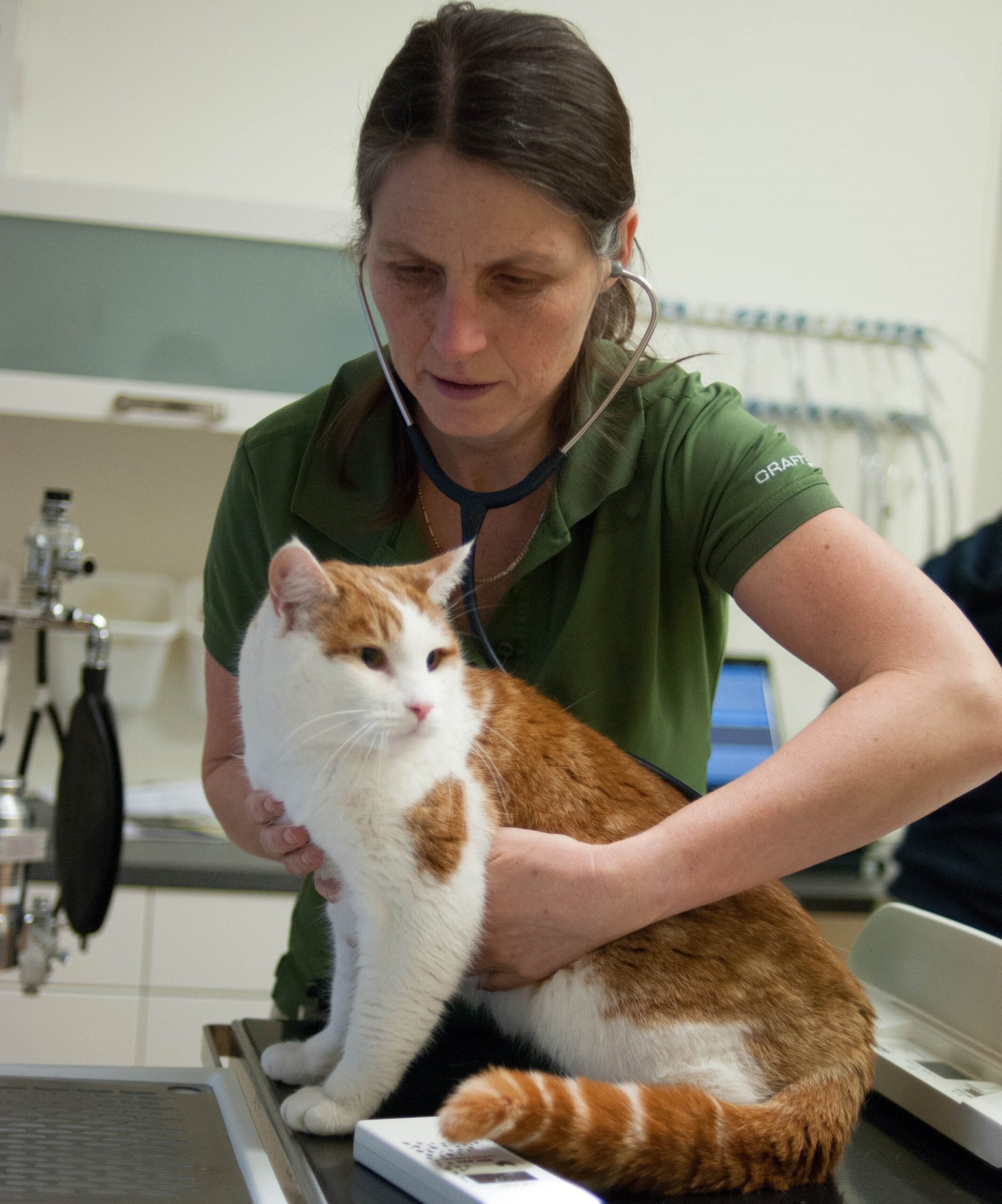 Sonja van Straten is dierenarts en kattengedragstherapeut